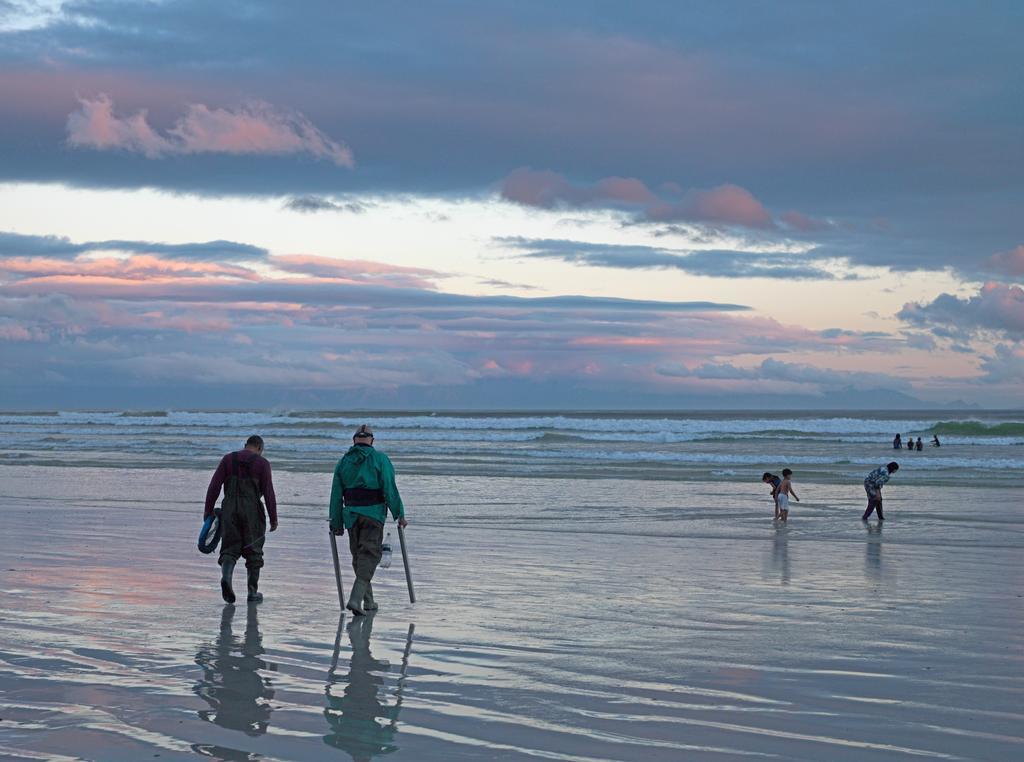 Surferscorner Self Catering Apartments ミューゼンバーグ エクステリア 写真
